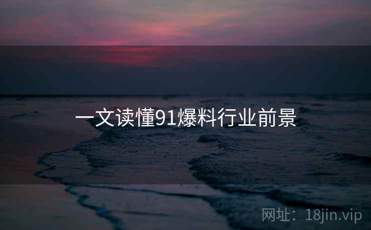 一文读懂91爆料行业前景