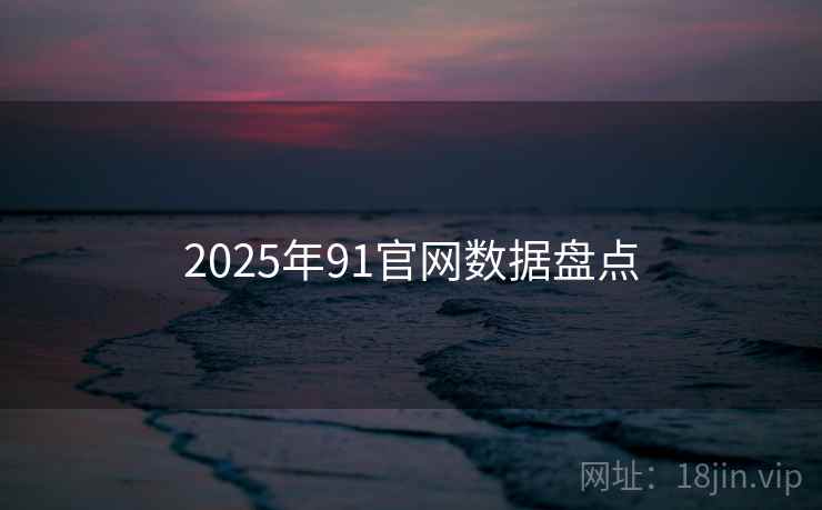 2025年91官网数据盘点