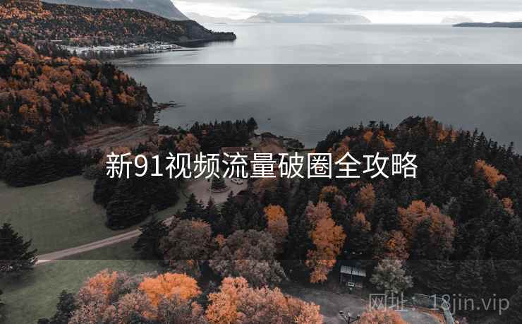 新91视频流量破圈全攻略